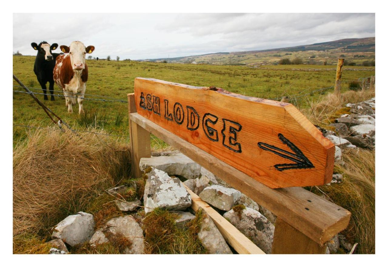 Ash Lodge Moytirra Екстериор снимка